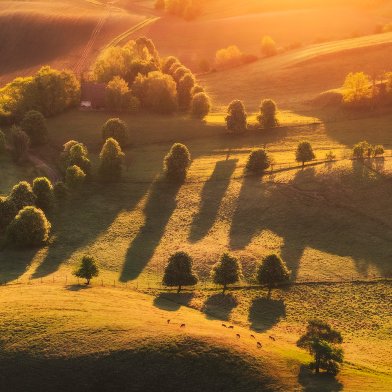 Moravia